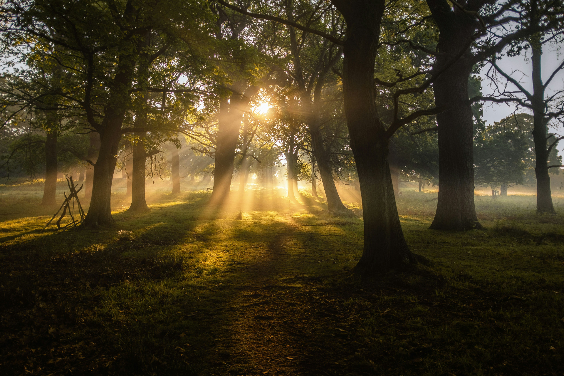 Peaceful nature scene representing hope and support